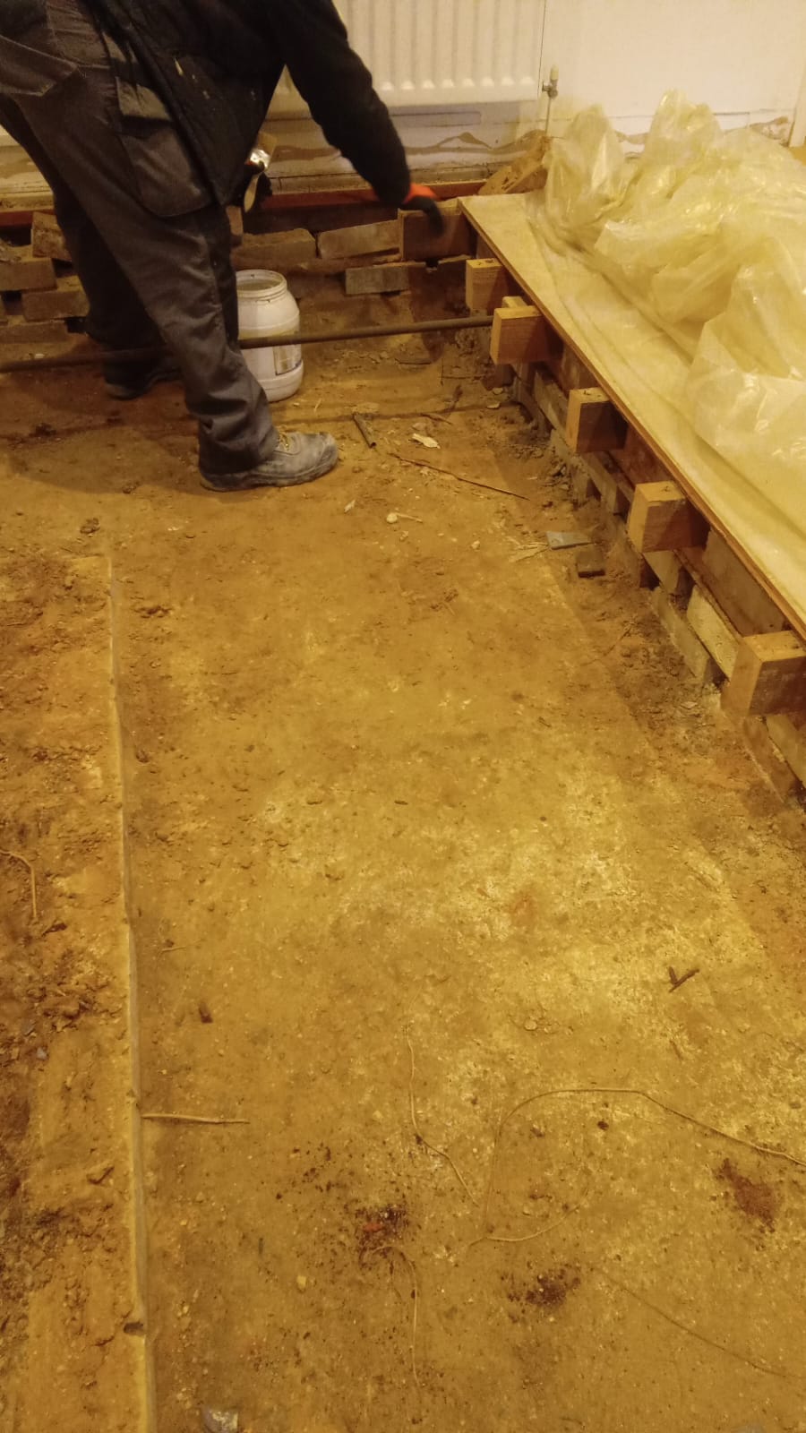 Dry rot outbreak below the floor of a 1920s flat in Cambridge.