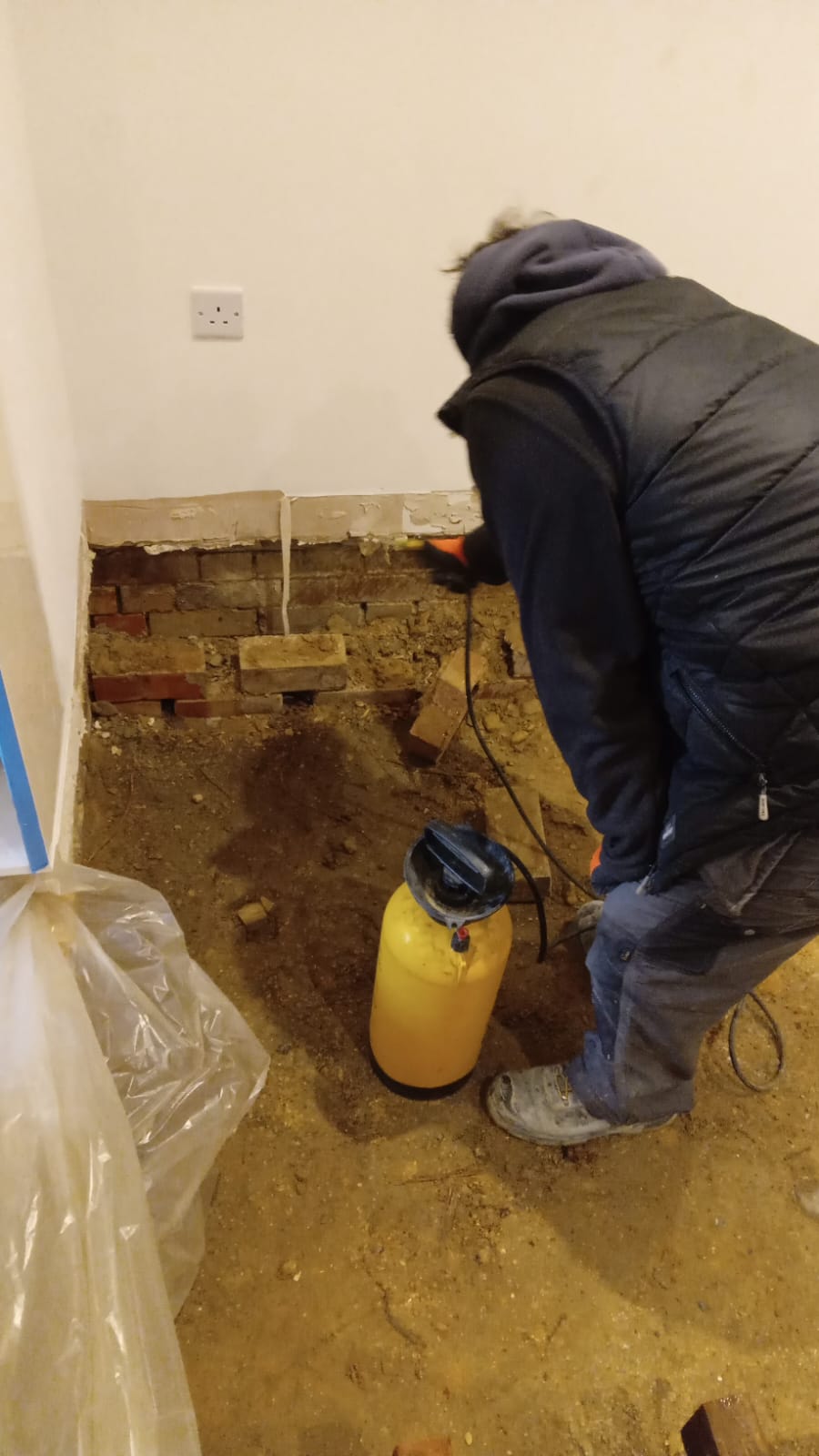 Dry rot outbreak below the floor of a 1920s flat in Cambridge.