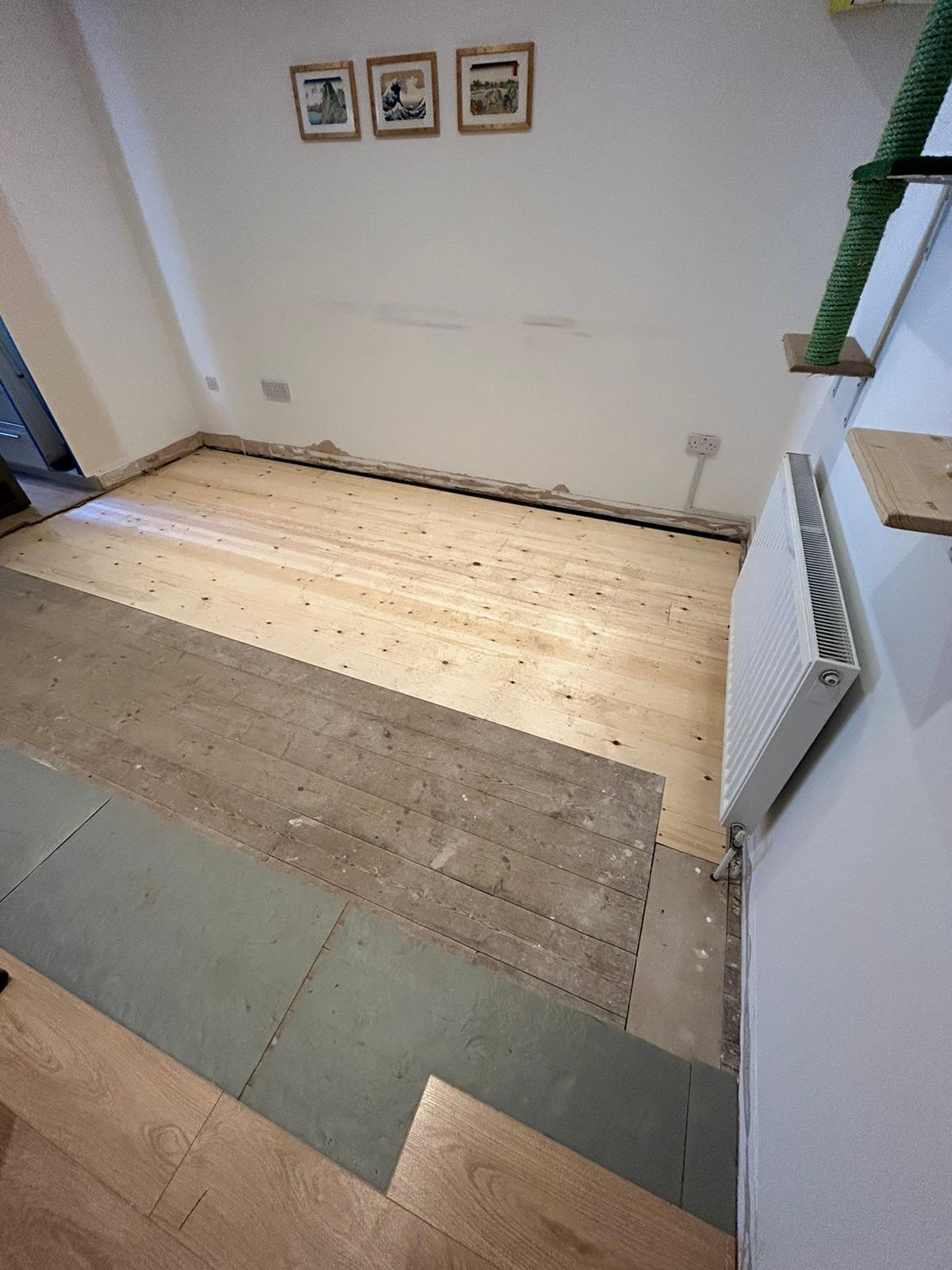 Dry rot outbreak below the floor of a 1920s flat in Cambridge.